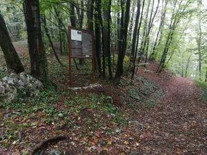 IMG_20181008_090310